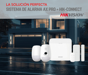 LA SOLUCION PERFECTA 2