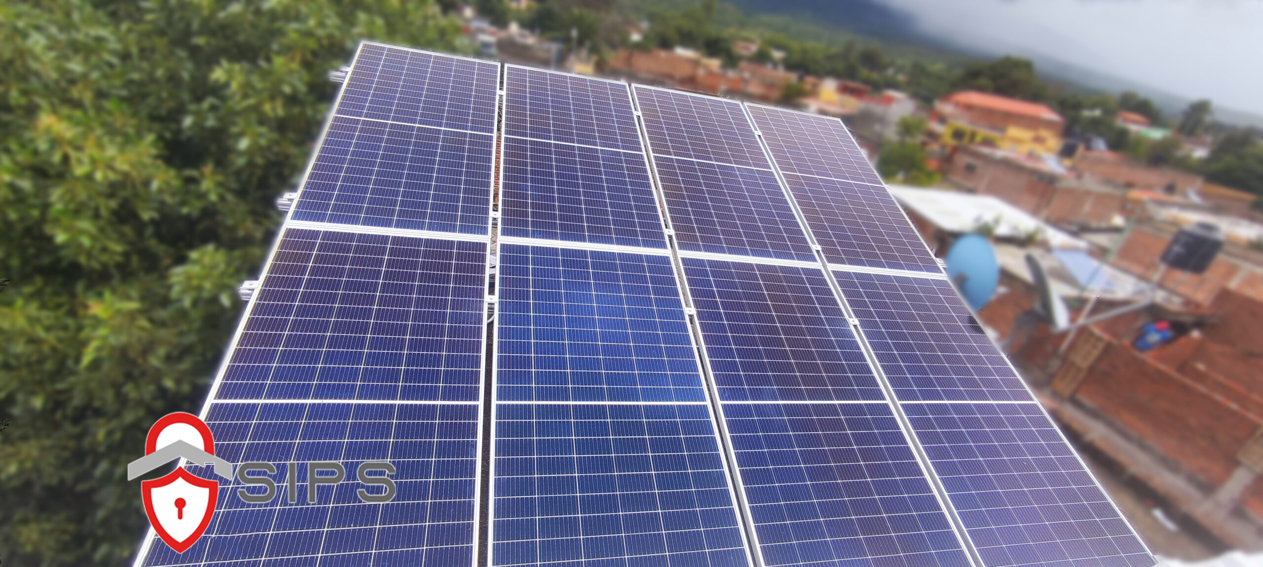 C0eeed06 33af 4b61 A4b3 F0e7224a54c2 Scaled